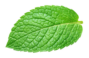 Obraz premium Mint leaves isolated on transparent. Mint PNG. Mint top view