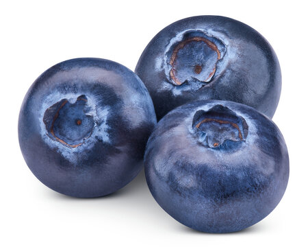 Three blueberry berries isolated on transparent. Ripe blueberry PNG. Blueberry full macro photo
