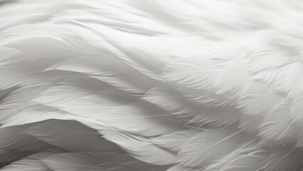 Soft white cloud dancer feather texture with gentle flowing waves and delicate details, horizontal abstract background perfect for natural concepts, minimalist designs, or elegant presentations