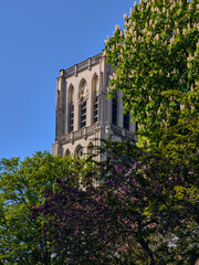 Obraz premium Grote Kerk Tower Den Briel Netherlands With Trees And Blue Sky Fortified Town Landmark Dutch Architecture And Travel