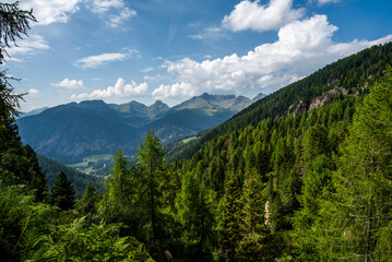 Fototapeta premium 2024 08 16 Pieve Tesino landscape 30.jpg