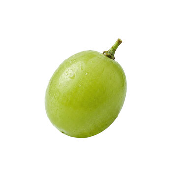 Single fresh green grape with water drops isolated