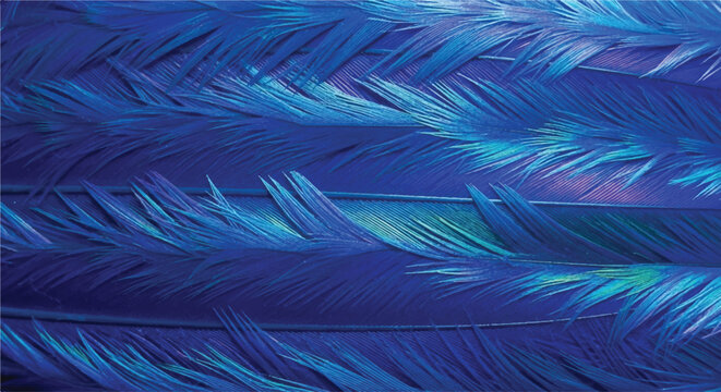 Overlapping Blue Feather Texture Background with Soft Natural Lighting and Detail