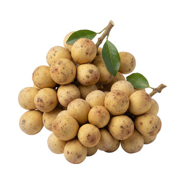 Fresh bunch of sweet longkong fruit with green leaves
