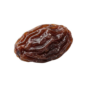 Single Dried Dark Raisin Or Sultana Snack Isolated