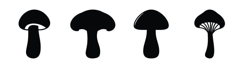 Empty vector file display