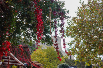 Autumn colors painting the historic streets and hills of Kruja, Albania, where golden leaves meet timeless stone and mountain air.