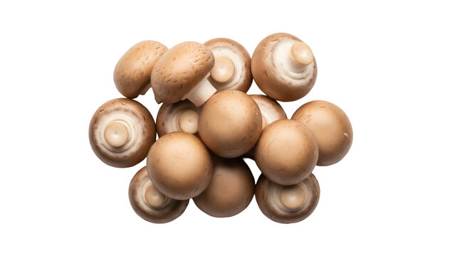 Pile of brown cap mushrooms isolated PNG, cremini or baby bella fungi on transparent background, edible ingredient for cooking
