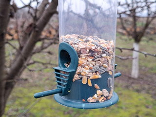 Bird feeder hanging in the tree