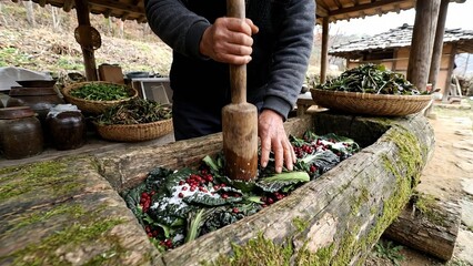 Person making kimchi by pounding wild herbs, red berries, and salt in a large traditional wooden mortar and pestle outdoors, preparing for fermentation