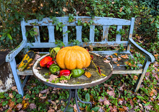 Pumpkin and peppers displayed on a rustic outdoor table in an autumn garden, Haute Garonne, Toulouse, France - Powered by Adobe