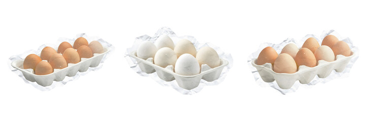 Fresh brown and white chicken eggs packed in three recyclable paper trays transparent background