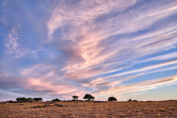 Cloud patterns over a vast landscape in Extremadura at sunset showcasing natural beauty and open space