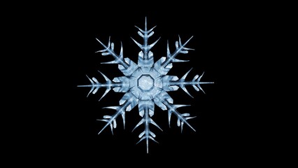 A 3D rendering of crystalline snowflakes against a black background. The image has a magical, wintry feel, highlighting the intricate, glowing geometry of the ice crystals.