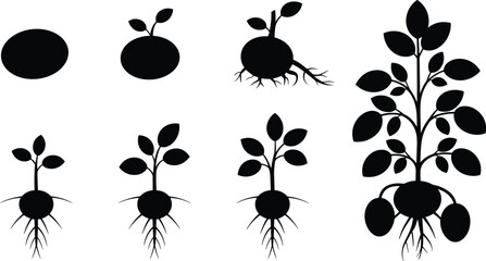 Minimal black floral botanical silhouettes set, hand drawn folk flower and leaf icons, Scandinavian style vector illustration, decorative nature elements