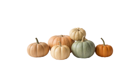 Various pumpkins of different colors arranged together on a plain background