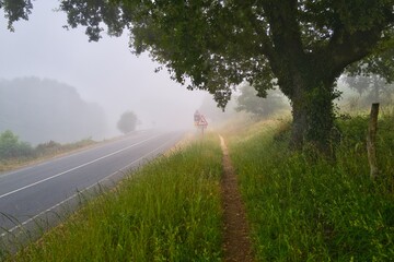 길거리, sky, 경관, 나무, 네이처, 경로, 여름, green, 목초, 농촌, 들판, 국가, 구름, 시골, 길, 봄, 목초지, 여행, 아스팔트, 고개, 공원, 때