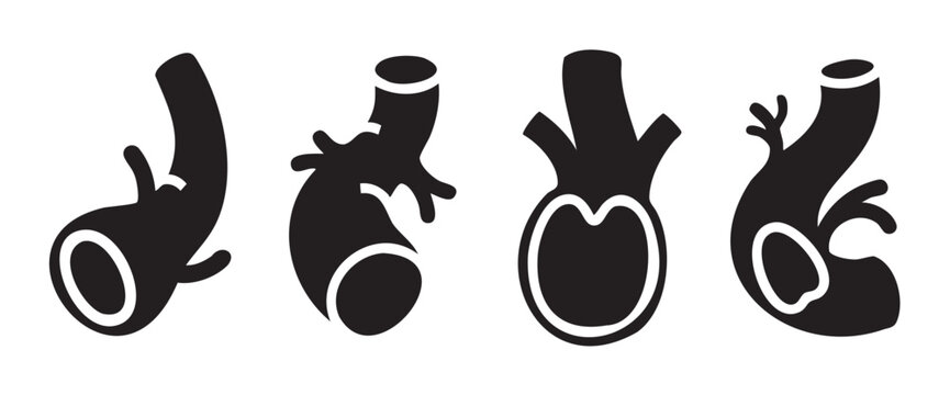 Human anatomical organs represented as a set of four stylized black silhouette icons illustrating various internal body structures and vessels.