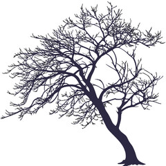 Fototapeta premium crabapple japanese silhouette vector