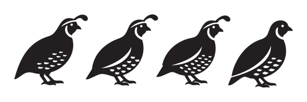 Four black quail birds standing in a line, depicted as a minimalist graphic icon or emblem, suitable for various design applications.