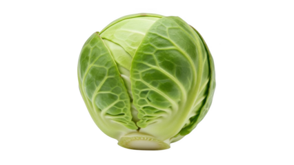 Single fresh green brussels sprout vegetable isolated on black background healthy