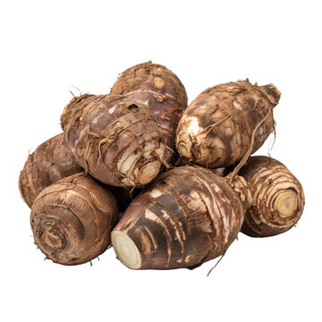 Group of Raw Organic Taro Roots Isolated
