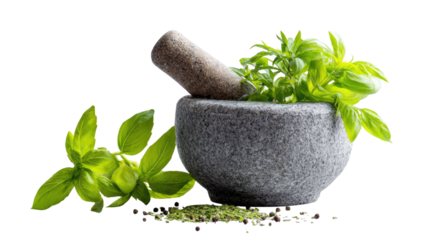 Fresh green herbs like rosemary, basil, and thyme sit in an organic white mortar and pestle bowl as natural cooking ingredients for healthy food or medicine isolated on a clean background