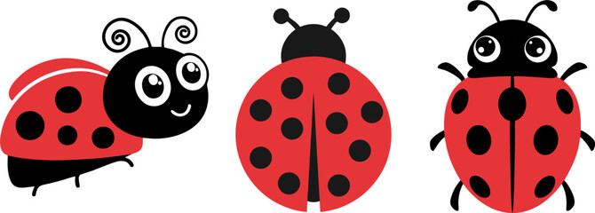 Collection of Cute Ladybug Insects with Red and Black Spots © Cik