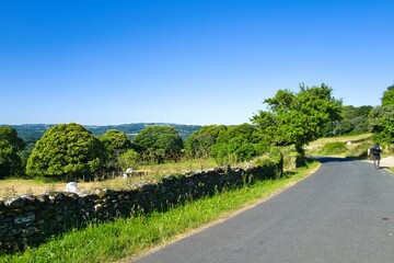 나무, 경관, 길거리, 네이처, 뜰, sky, 목초, 경로, 여름, 공원, 들판, 국가, 농촌, 여행, 경치, 시골, 강, 잔디, 목초지, 마운튼, 구름