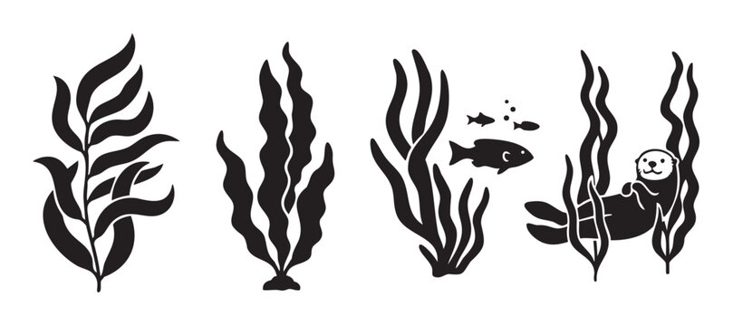 Marine life seaweed kelp fish otter illustration depicting various aquatic plants and animals in a simple, graphic black and white style, suitable for educational or decorative purposes.