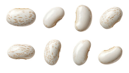Pinto beans white with brown speckles, isolated on black background