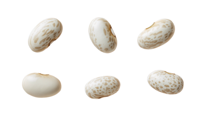 Six spotted lima beans viewed from varying angles