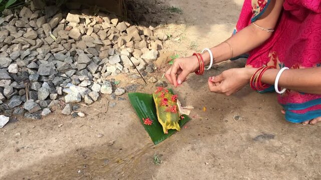 Odia Woman Performing Basumati Snana Ritual Or Morther Earth Bath During Raja Festival in Odisha, India