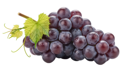 Fresh black grapes with water droplets isolated PNG, juicy fruit with green leaf on transparent background for healthy eating and design