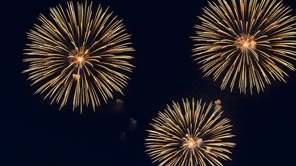Golden fireworks explode in the night sky