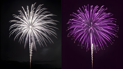 fireworks in the night sky