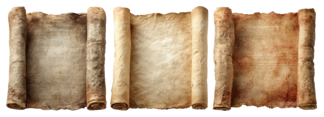 Three aged parchment scrolls, rolled on both sides