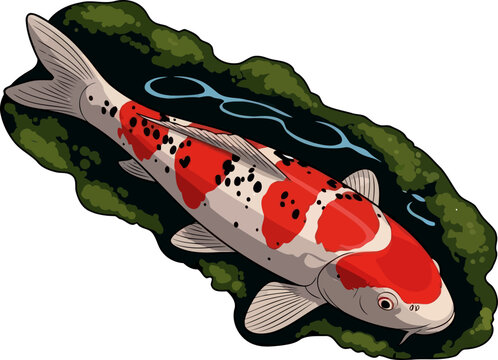 crimson current navigating lifes flow with grace, resilience, and propitious spirit, vector isolated on transparent background