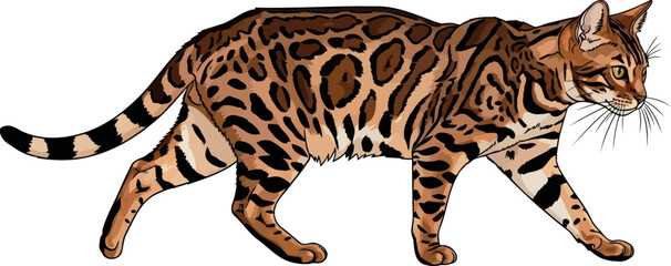 Obraz premium wild markings bengal cats primal grace, a symphony of untamed beauty, vector isolated on transparent background