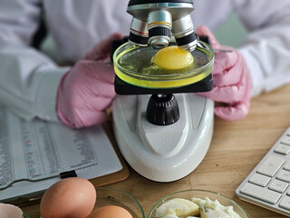 Scientist views egg sample under microscope in laboratory during research session focused on food...