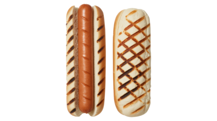 Two hot dogs with grill marks on them