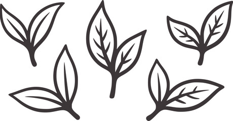 Fototapeta premium Five minimalist black leaves outline white leaf