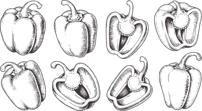 Hand drawn black and white bell peppers whole and halved