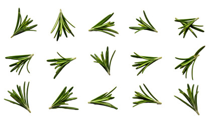 Fototapeta premium Fresh-Rosemary-Sprigs-Grid-Layout-White-Background-Culinary-Aromatherapy-Cooking-Photography-Stock.png