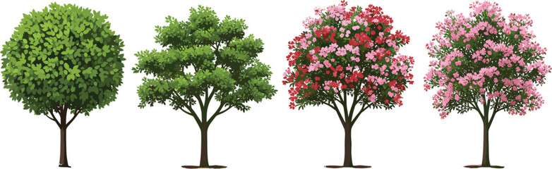 Flowering tree illustration set, diverse canopy styles, botanical vector design, seasonal foliage and blossoms, landscaping clipart, nature concept, garden trees ©  Alexander Creations