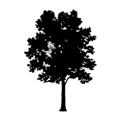 Fototapeta premium Black tree silhouette vector illustration for nature design and landscape graphic element art tree