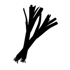 Leek vegetable vector illustration, fresh organic leeks, healthy eating, cooking ingredient, food design