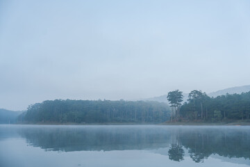 Misty waters reflect the forest edge under a pale sky creating a peaceful dreamy scene
