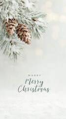 Frosty Pine Branch With Light Effects, Frosty Pine Branch Adorned With Cones And Gentle Snowfall Ambiance