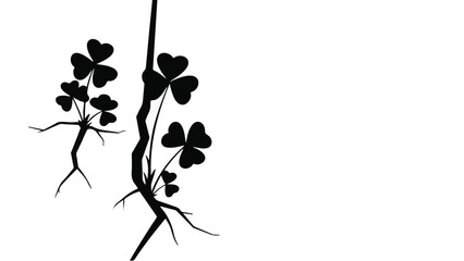 Delicate clover leaves with roots reaching out from a dark, cracked line against a white background, symbolizing growth and resilience.